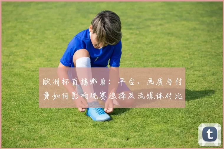 欧洲杯直播哪看：平台、画质与付费如何影响观赛选择及流媒体对比